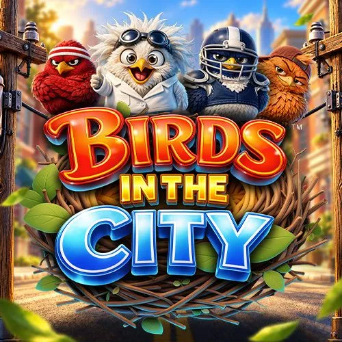Birds in the City